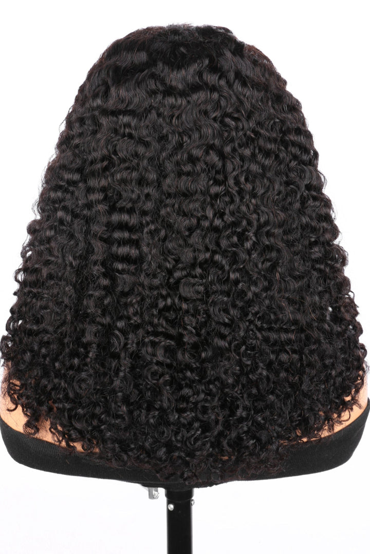 5x5 Burmese Curly HD Lace Frontal Wigs Human Hair Natural Color High Quality 100% Human Hair